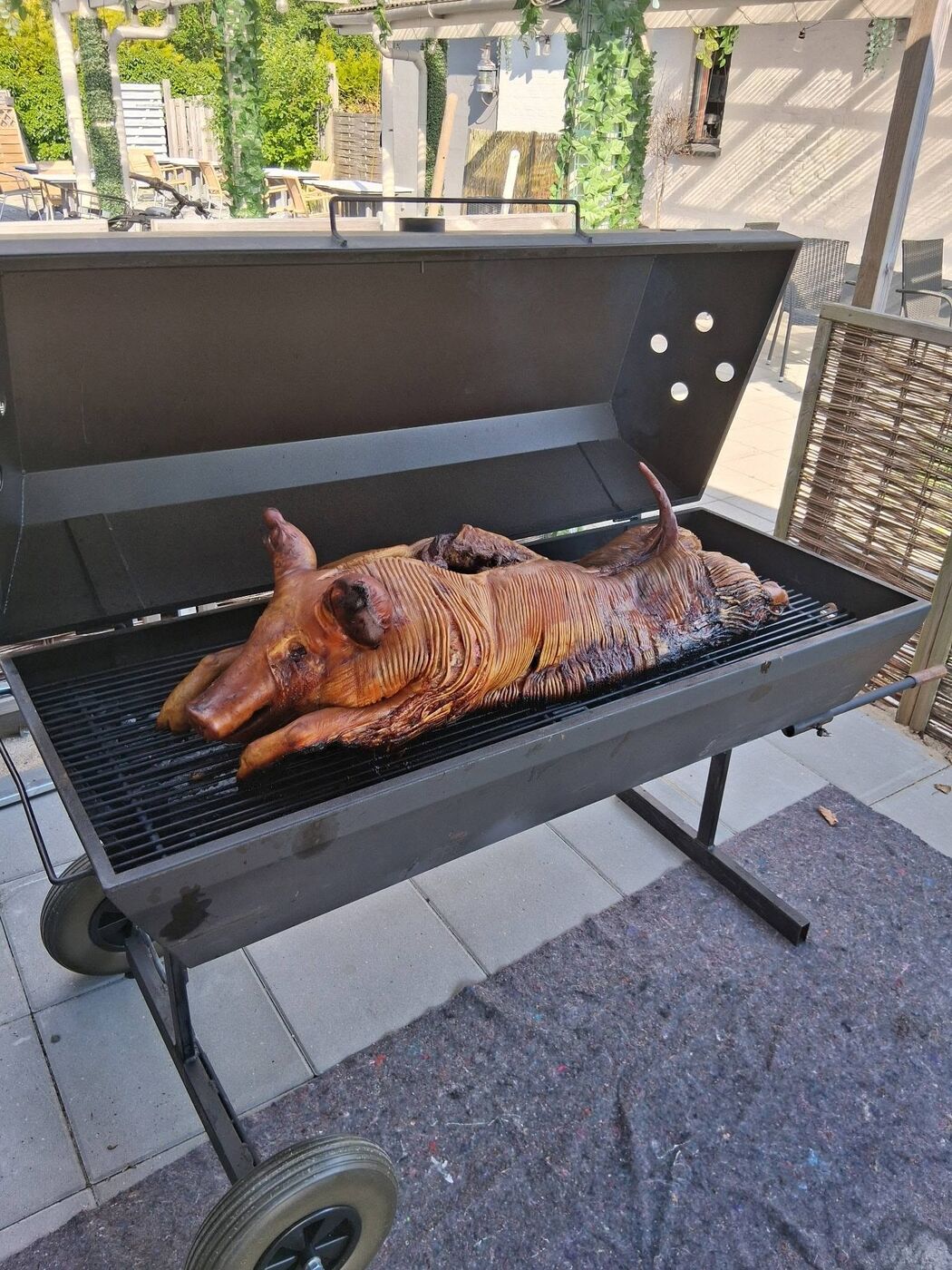 Helstegt pattegris på en stor grill udendørs